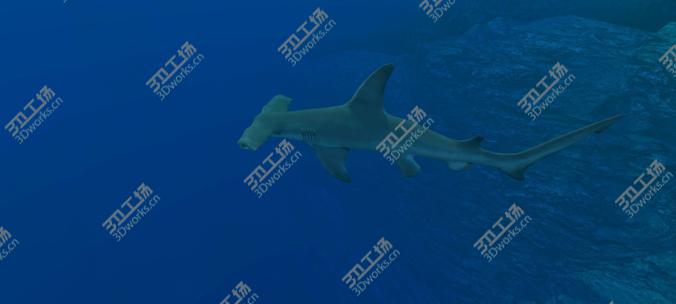 images/goods_img/202104091/Coral Fish Pack/3.jpg